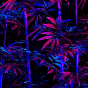 💎 HANDMADE CRYSTAL JEWELRY 💎